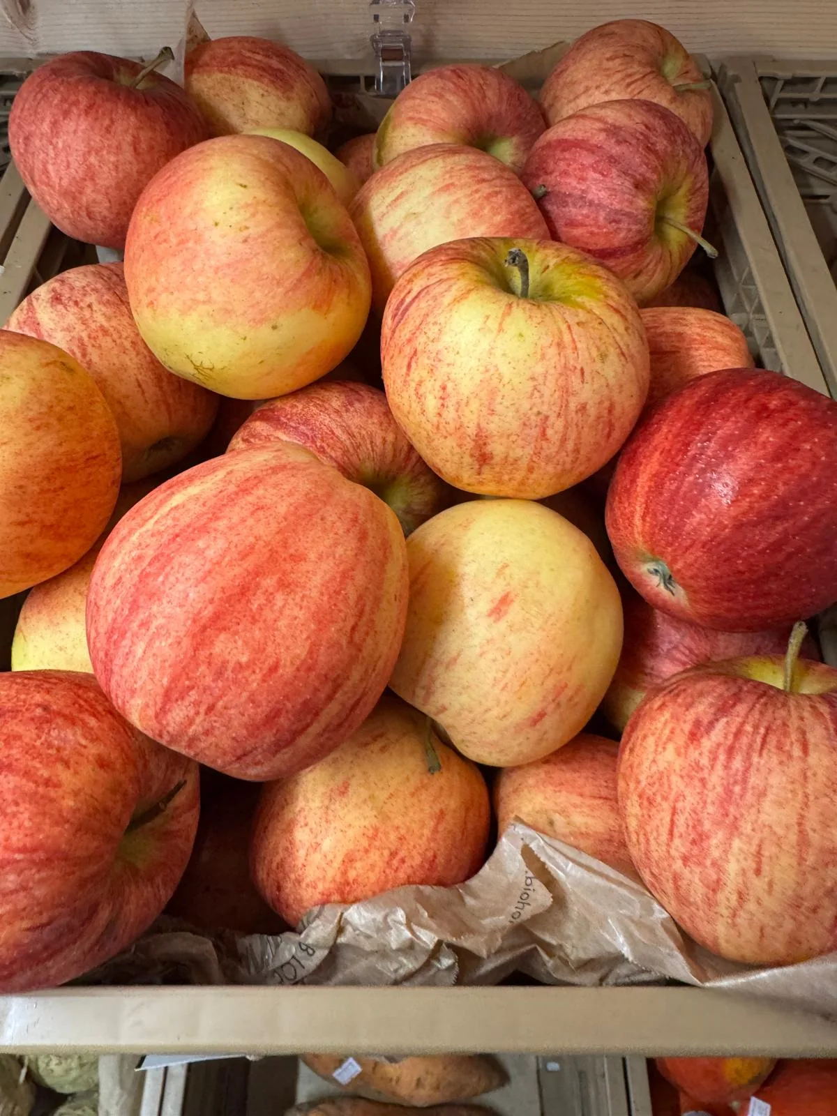 Bio-Äpfel