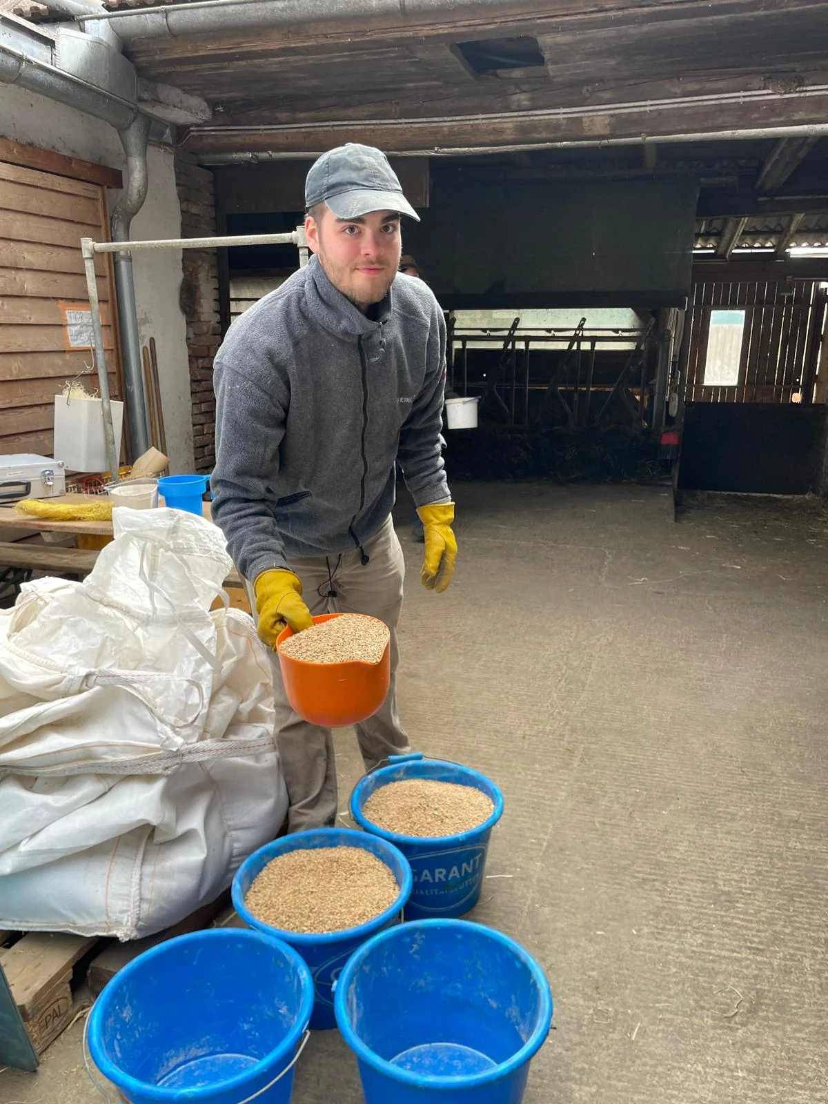 Futterarbeit im Stall am Biohof Fritz