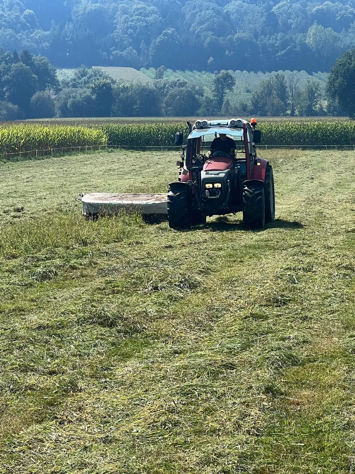 Traktor beim Mähen einer Wiese am Biohof Fritz